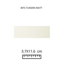 Load image into Gallery viewer, BITS TUNDRA MATT 3.7x11.6