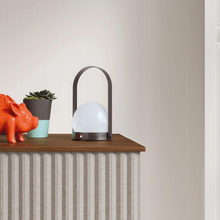 Load image into Gallery viewer, LISO XL DOVE MATT