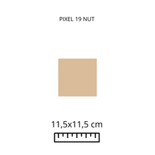 Load image into Gallery viewer, PIXEL 19 - NUT
