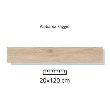 Load image into Gallery viewer, ALABAMA 20x120