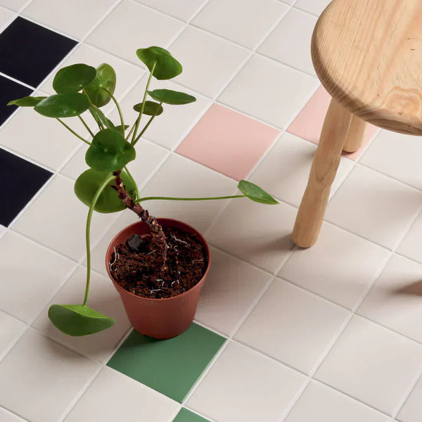 Pisos para oficinas modernas