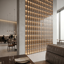 Load image into Gallery viewer, Shade Glass Brick KS-007
