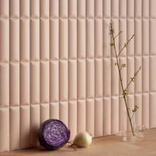 Load image into Gallery viewer, BISCUIT DUNE POWDER 5x20
