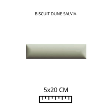 Load image into Gallery viewer, BISCUIT DUNE SALVIA 5x20
