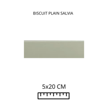 Load image into Gallery viewer, BISCUIT PLAIN SALVIA 5x20
