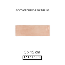 Load image into Gallery viewer, COCO ORCHARD PINK 5X15
