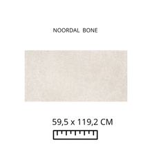 Load image into Gallery viewer, NOORDAL  BONE
