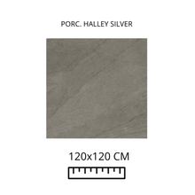 Load image into Gallery viewer, HALLEY SILVER
