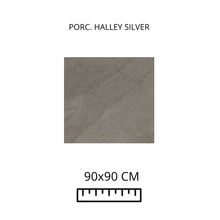 Load image into Gallery viewer, HALLEY SILVER

