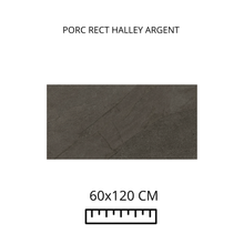 Load image into Gallery viewer, HALLEY ARGENT
