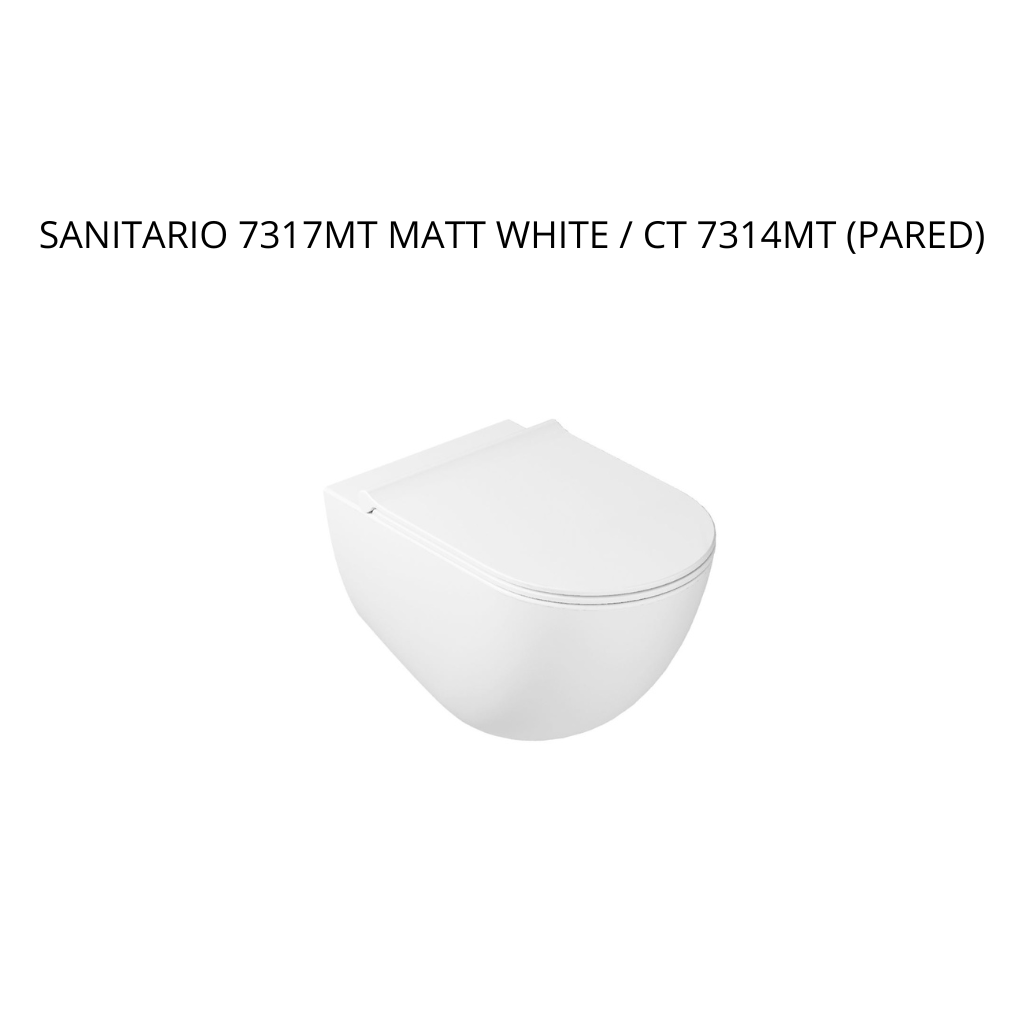 Sanitario Dream - Suspendido 7317MT CT