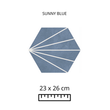 Load image into Gallery viewer, SUNNY BLUE 23x26
