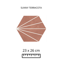 Load image into Gallery viewer, SUNNY TERRACOTA 23X26
