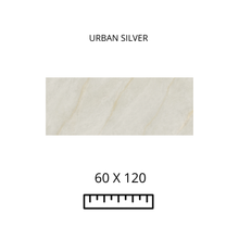 Load image into Gallery viewer, URBAN SILVER 60X120
