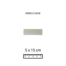 Load image into Gallery viewer, REBELS SAGE 5X15
