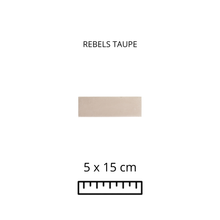 Load image into Gallery viewer, REBELS TAUPE 5X15
