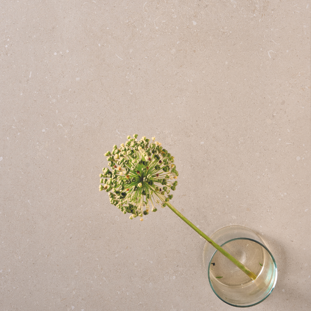 SCB NATURAL 60X120 – mosagrescr