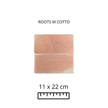 Load image into Gallery viewer, ROOTS M COTTO 11X22
